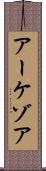 アーケゾア Scroll