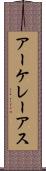 アーケレーアス Scroll
