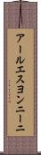 アールエスヨンニーニ Scroll