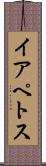 イアペトス Scroll