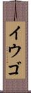 イウゴ Scroll