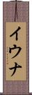 イウナ Scroll