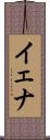 イェナ Scroll