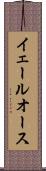 イェールオース Scroll