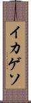 イカゲソ Scroll