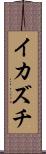 イカズチ Scroll