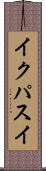 イクパスイ Scroll