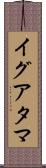 イグアタマ Scroll