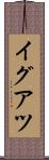 イグアツ Scroll