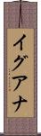 イグアナ Scroll