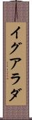 イグアラダ Scroll