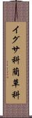 イグサ科 Scroll