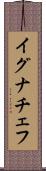 イグナチェフ Scroll