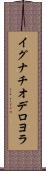 イグナチオ・デ・ロヨラ Scroll