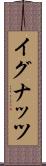 イグナッツ Scroll