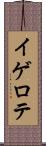 イゲロテ Scroll