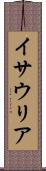 イサウリア Scroll