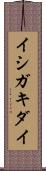 イシガキダイ Scroll