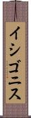 イシゴニス Scroll