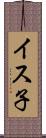 イス子 Scroll