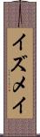 イズメイ Scroll