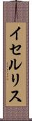 イセルリス Scroll