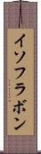 イソフラボン Scroll