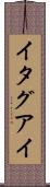 イタグアイ Scroll
