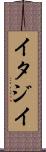 イタジイ Scroll