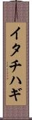 イタチハギ Scroll