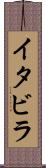 イタビラ Scroll