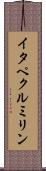 イタペクルミリン Scroll