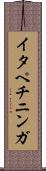 イタペチニンガ Scroll