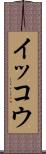 イッコウ Scroll
