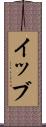 イッブ Scroll