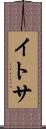 イトサ Scroll