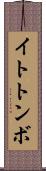 イトトンボ Scroll