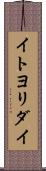 イトヨリダイ Scroll