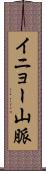 イニョー山脈 Scroll