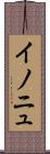 イノニュ Scroll