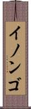 イノンゴ Scroll