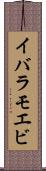 イバラモエビ Scroll