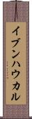 イブンハウカル Scroll