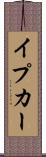 イプカー Scroll