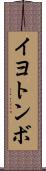 イヨトンボ Scroll
