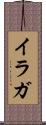 イラガ Scroll