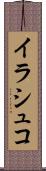 イラシュコ Scroll