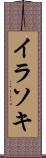 イラソキ Scroll