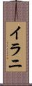 イラニ Scroll