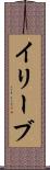 イリーブ Scroll